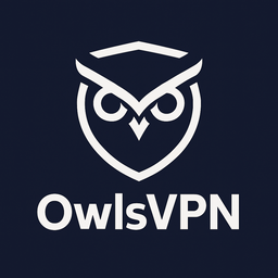 VPN Logo